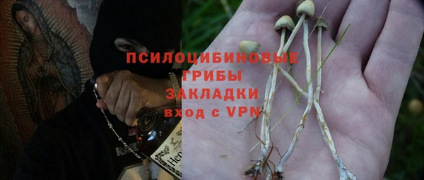 a pvp Абинск