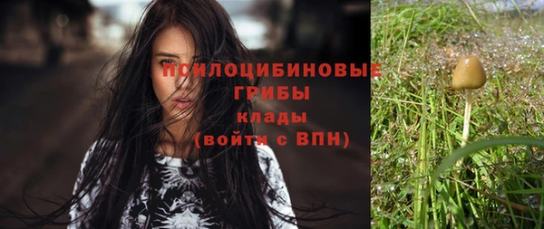 a pvp Абинск